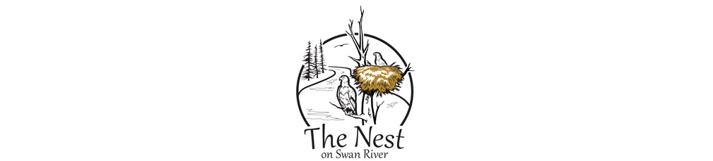 The Nest logo and branding graphic design